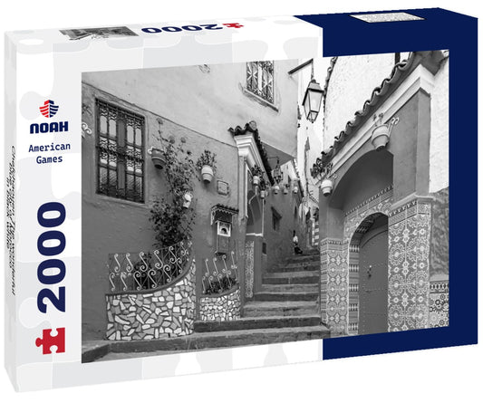 Noah Jigsaw Puzzle Chefchaouen The wonderful blue city of Morocco in black white 2000 pieces