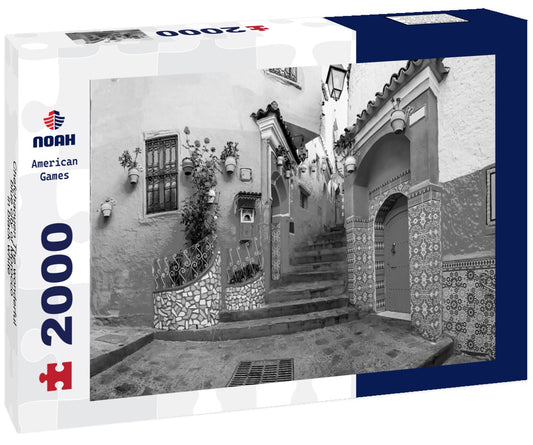 Noah Jigsaw Puzzle Chefchaouen The wonderful blue city of Morocco in black white 2000 pieces