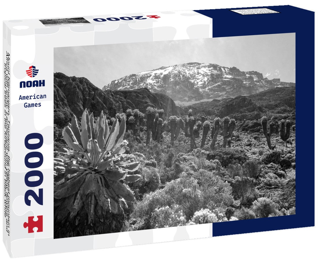 Noah Jigsaw Puzzle Mount Kilimanjaro, Tanzania, the highest mountain in Africa with snow. Landscape with yellow flowers and tropical trees in the foreground in black white 2000 pieces