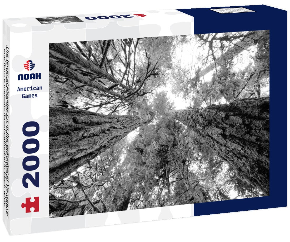 Noah Jigsaw Puzzle The tower of Douglas Fir in the cathedral of Vancouver Island, where the ancient sentinels surpass 70 meters and form a majestic forest-cathedral in black white 2000 pieces