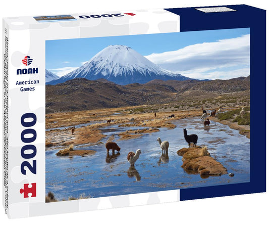 Noah Jigsaw Puzzle Alpaca grazing in a wetland area, also known as a bofedal in Spanish, at the base of the snow capped Parinacota Volcano, 6324m high, in the Altiplano of northern Chile 2000 pieces