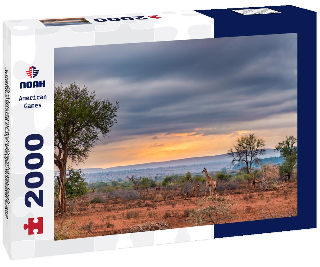 Noah Jigsaw Puzzle Golden sunrise in the african bush. Giraffe walking in wonderful landscape and dramatic colorful sky. Kruger National Park, famous travel destination in South Africa 2000 pieces