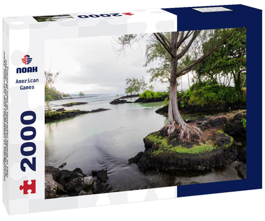 Noah Jigsaw Puzzle Tranquil inlet at Hawaiian beach in Hilo, Hawaii. Tree standing on protruding rock; rocky outcrops and vegetation in background. Clear pool leads towards the ocean 2000 pieces