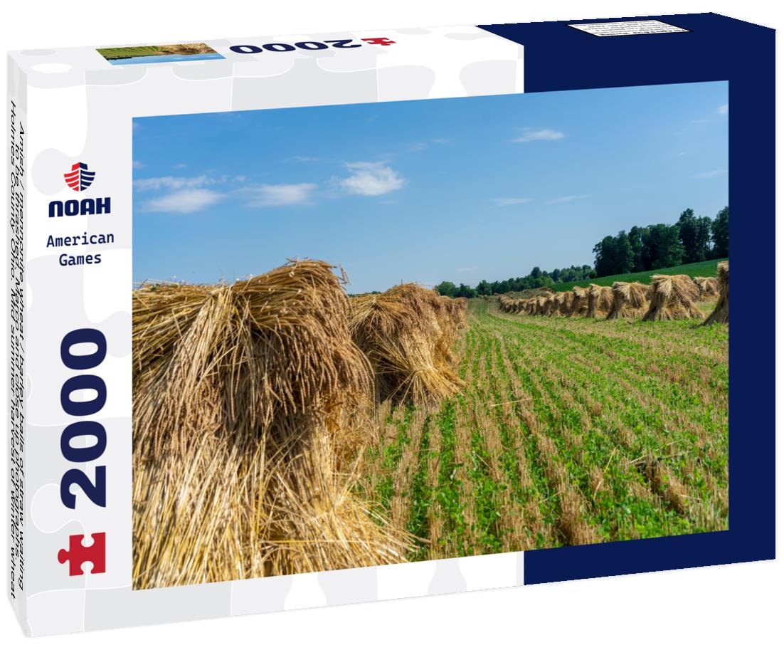 Noah Jigsaw Puzzle Amish / mennonite wheat / barley bails of straw waiting to be thrashed. Marco and close up photographs. Holmes County Ohio. Mid summer harvest of winter wheat 2000 pieces