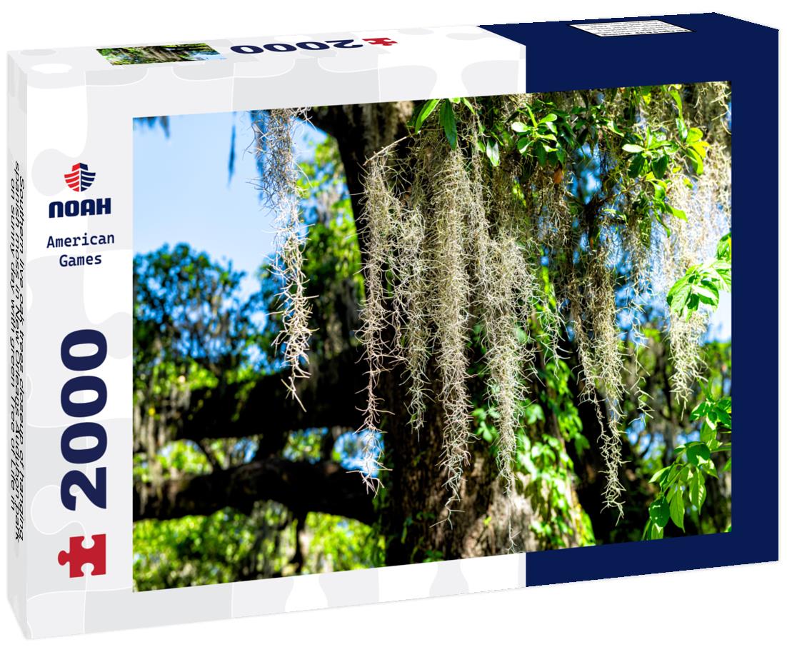 Noah Jigsaw Puzzle Southern live oak trees closeup of hanging spanish moss in New Orleans Audubon park on sunny day with green Tree of Life in Garden District of Louisiana city 2000 pieces