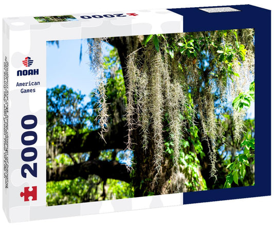 Noah Jigsaw Puzzle Southern live oak trees closeup of hanging spanish moss in New Orleans Audubon park on sunny day with green Tree of Life in Garden District of Louisiana city 2000 pieces