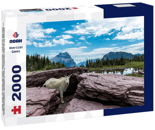 Noah Jigsaw Puzzle Views from the Hidden Trail in Glacier national park in Montana during summer. wild flowers, towering Bear Hat Mt and Mt . Reynolds can be seen in this hike 2000 pieces
