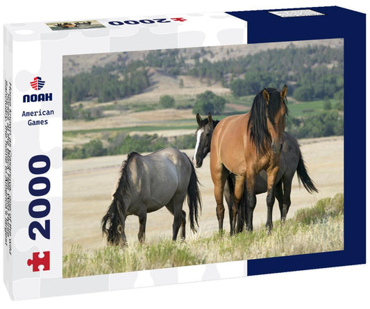 Noah Jigsaw Puzzle Horse known as Casanova, one of the wild horses at the Black Hills Wild Horse Sanctuary, the home to America's largest wild horse herd, Hot Springs 2000 pieces