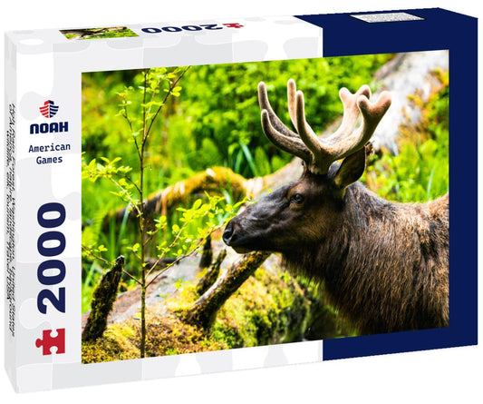 Noah Jigsaw Puzzle Hoh Rain Forest, Washington, United States of America, nature, landscape, background, wildlife, elk, tourism, Travel USA, North America, evergreen 2000 pieces