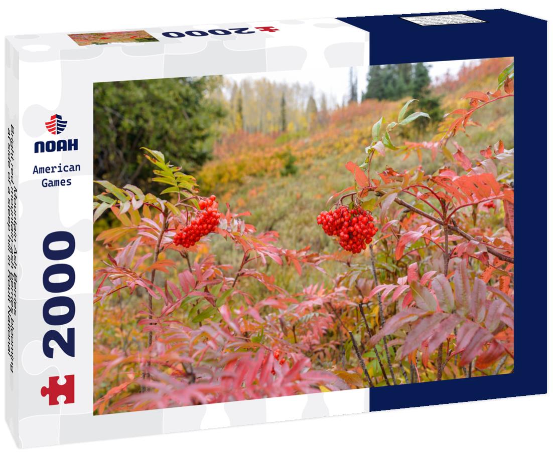 Noah Jigsaw Puzzle Mountain Ash Berries - Bright red mountain-ash berries blooming at side of a steep hill in Routt National Forest of Colorado Rocky Mountains, USA 2000 pieces