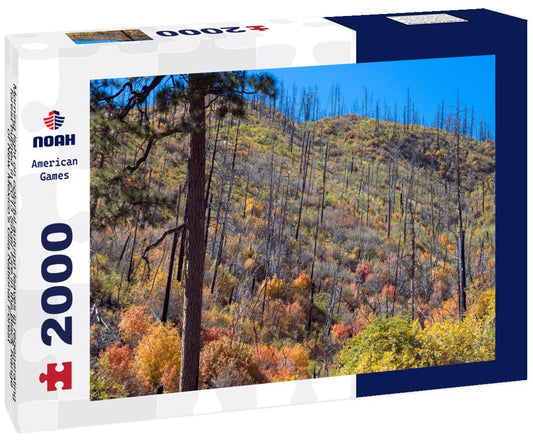 Noah Jigsaw Puzzle Morning light on colorful autumn leaves in regenerating forest burned in 2013 Silver Fire in the Black Range of New Mexico's Gila National Forest 2000 pieces