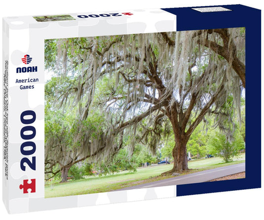 Noah Jigsaw Puzzle Southern live Oak tree with Spanish moss hanging from branches in Audubon Park, New Orleans, Louisiana, USA. No people, daytime horizontal photo 2000 pieces