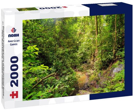 Noah Jigsaw Puzzle Beautiful landscape view of the rainforest during an ecotourism jungle hike in Gunung Leuser National Park, Bukit Lawang, Sumatra, Indonesia 2000 pieces