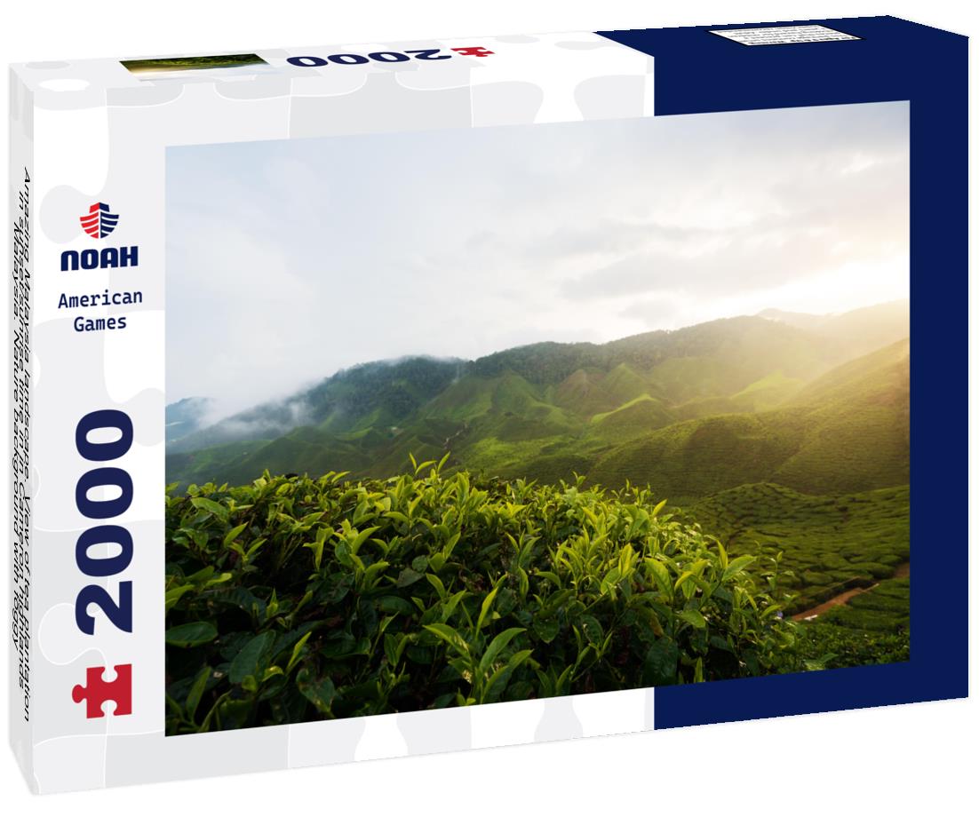 Noah Jigsaw Puzzle Amazing Malaysia landscape. View of tea plantation in sunset/sunrise time in in Cameron highlands, Malaysia. Nature background with foggy 2000 pieces