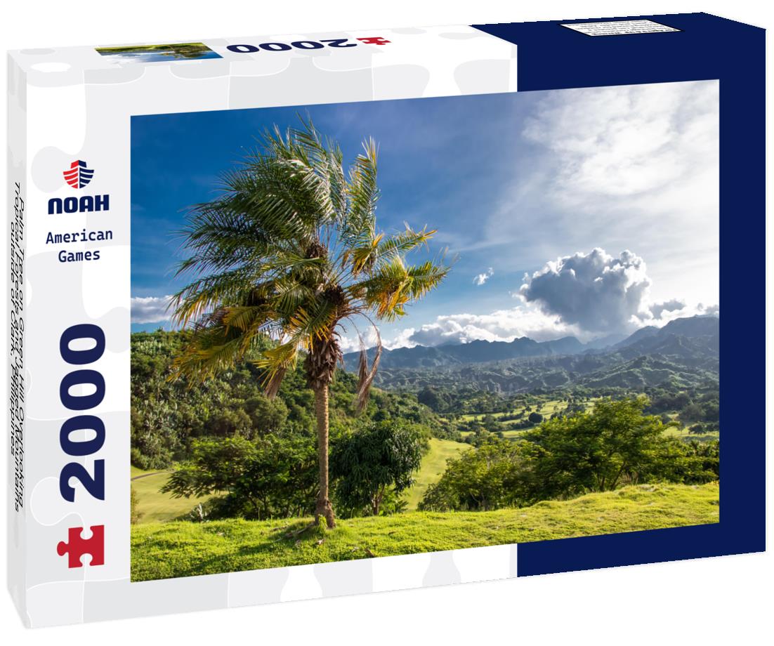 Noah Jigsaw Puzzle Palm Tree on Green Hill Overlooking Tropical Forests and Jagged Mountains outside of Clark, Philippines - Pampanga, Luzon, Philippines 2000 pieces