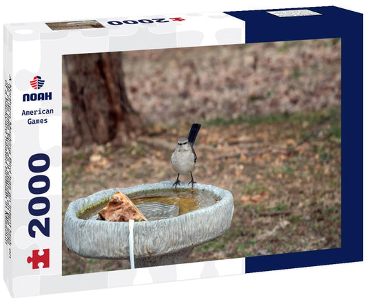 Noah Jigsaw Puzzle A Northern Mocking Bird has an intent look on its cute little face as it stands on the side of a backyard heated birdbath in Missouri 2000 pieces