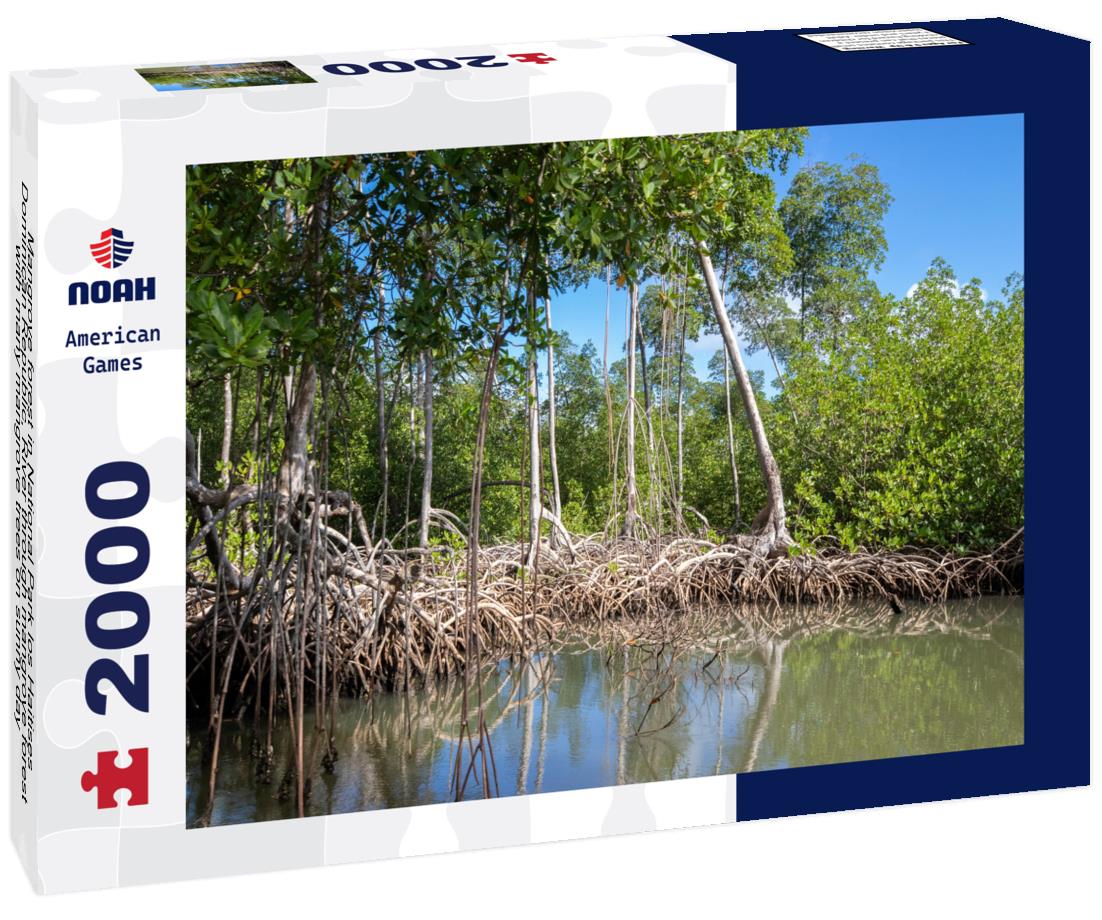 Noah Jigsaw Puzzle Mangrove forest in National Park los Haitises Dominican Republic, River through mangrove forest with many mangrove trees on sunny day 2000 pieces