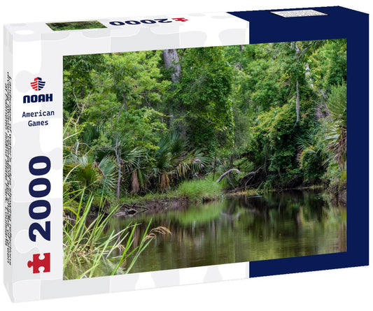 Noah Jigsaw Puzzle Landscape of water's edge showing reflections, diverse swamp vegetation and shades of green at Palmetto Island State Park, Louisiana 2000 pieces