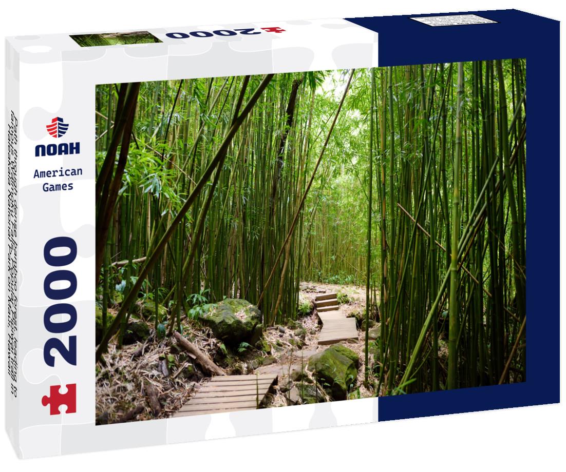 Noah Jigsaw Puzzle Path through dense bamboo forest, leading to famous Waimoku Falls. Popular Pipiwai trail in Haleakala National Park on Maui, Hawaii 2000 pieces