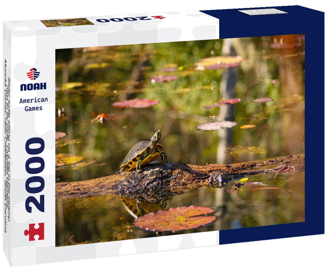 Noah Jigsaw Puzzle Slider turtle sitting on a log in the swamp next to lily pads. Cypress Gardens. Moncks Corner, near Charleston, South Carolina, USA 2000 pieces