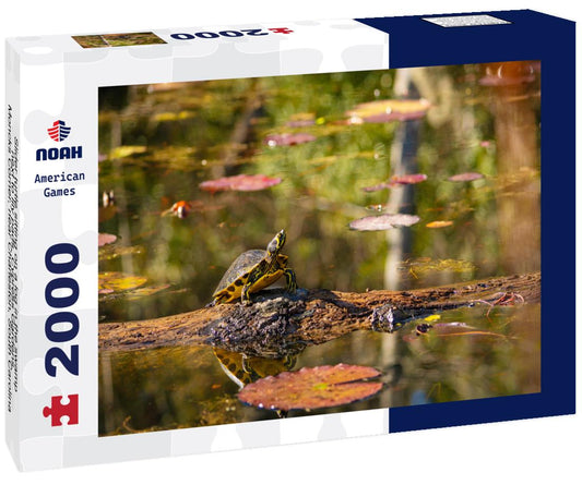 Noah Jigsaw Puzzle Slider turtle sitting on a log in the swamp next to lily pads. Cypress Gardens. Moncks Corner, near Charleston, South Carolina, USA 2000 pieces