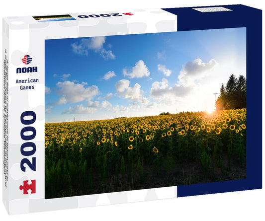 Noah Jigsaw Puzzle A large field of sunflowers in bloom next to a small farm house as the sun sets in the Inland Northwest area of Spokane Washington 2000 pieces