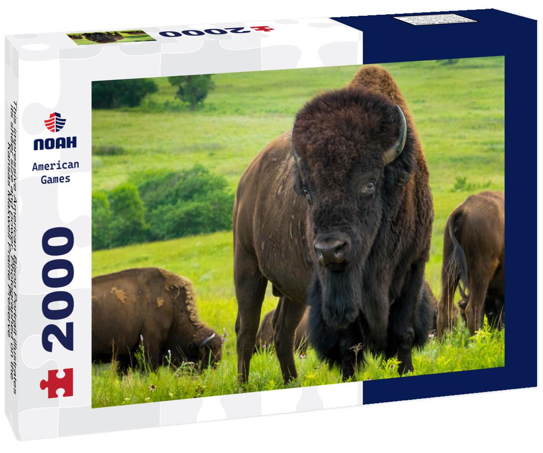 Noah Jigsaw Puzzle This impressive American Bison Portrait illustrates its sheer size and power. Photographed on the Kansas Maxwell Prairie Preserve 2000 pieces