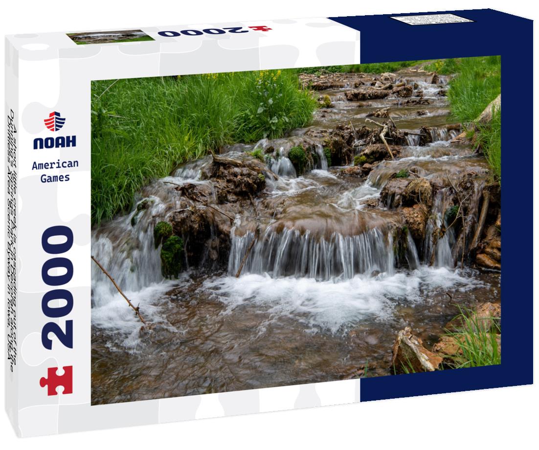 Noah Jigsaw Puzzle A short little creek is cascading out of the Dunning's Springs Park in Decorah along the Driftless Area Scenic Byway in Iowa, USA 2000 pieces