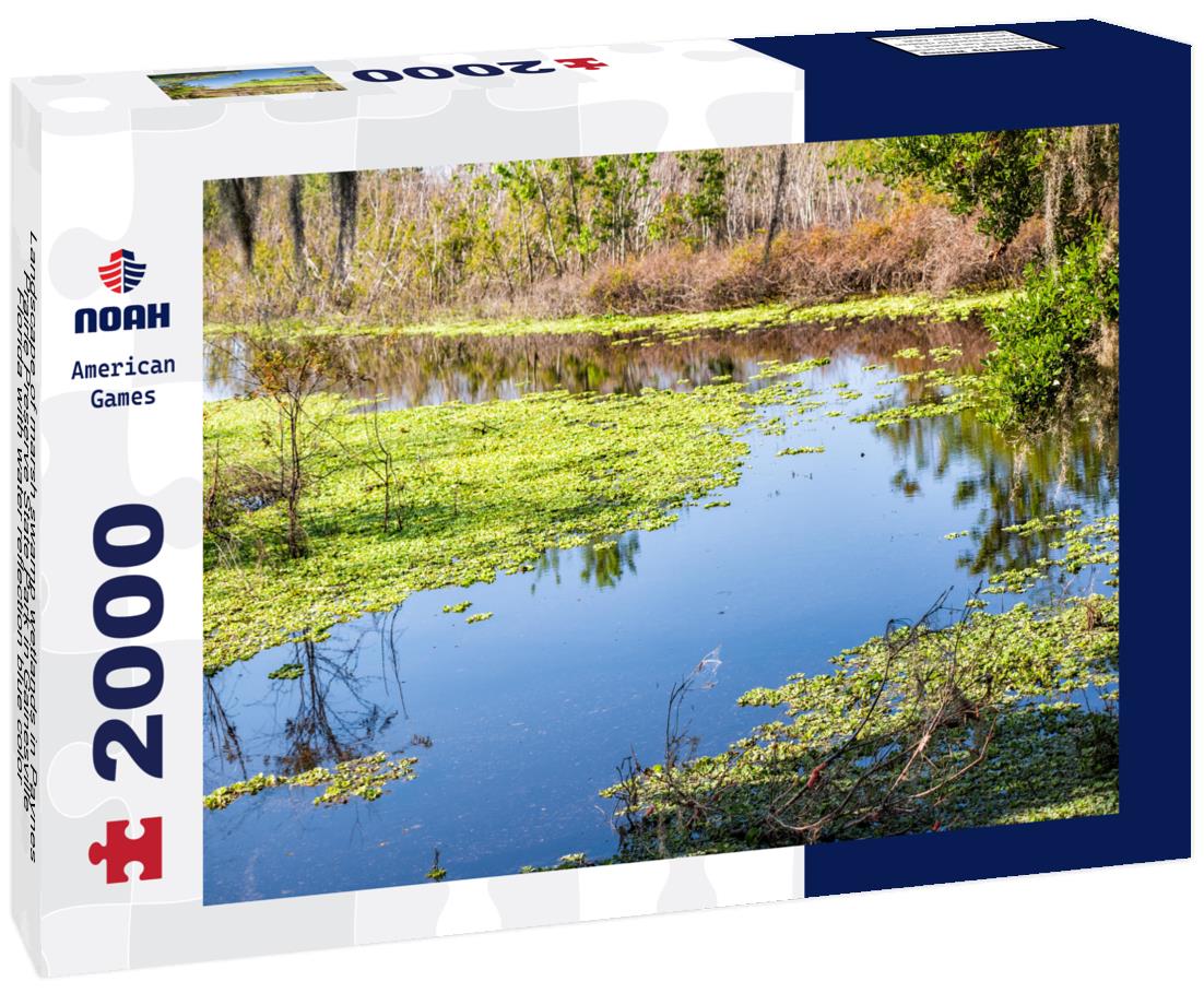 Noah Jigsaw Puzzle Landscape of marsh swamp wetlands in Paynes Prairie Preserve State Park in Gainesville, Florida with water reflection blue color 2000 pieces
