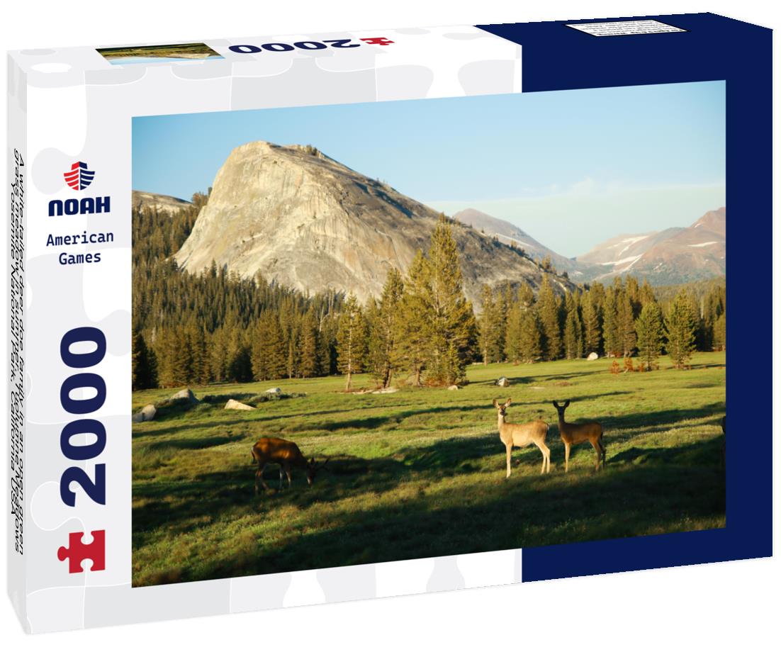Noah Jigsaw Puzzle A white-tailed deer doe family in an open green grass meadow in summer, Tuolumne Meadows, Yosemite National Park, California USA 2000 pieces