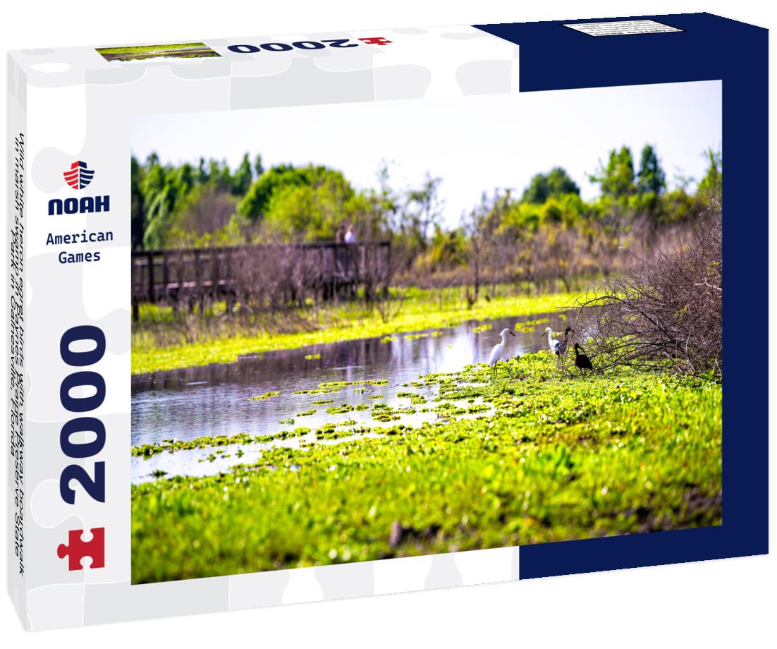 Noah Jigsaw Puzzle Wild white heron egret birds with walkway boardwalk in marsh swamp in Paynes Prairie Preserve State Park in Gainesville, Florida 2000 pieces