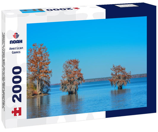 Noah Jigsaw Puzzle Cypress Trees with Spanish Moss growing on them. In Lake Marion at Santee State Park, Santee, Orangeburg County, South Carolina 2000 pieces