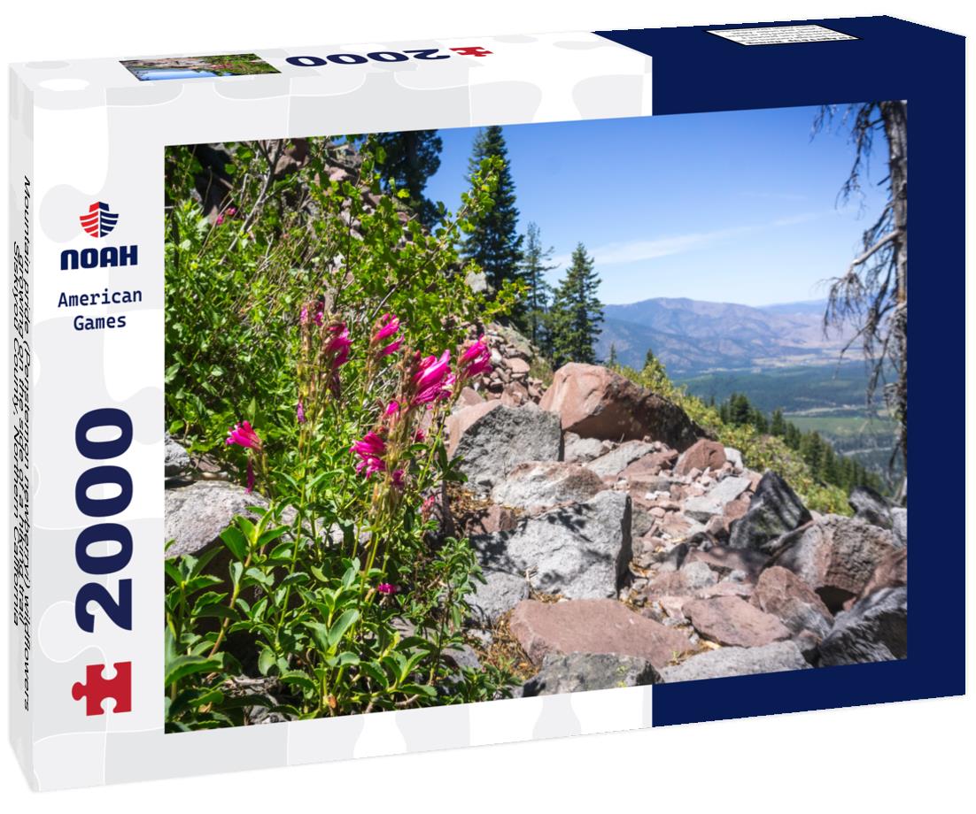 Noah Jigsaw Puzzle Mountain pride (Penstemon newberryi) wildflowers growing on the side of a hiking trail, Siskiyou County, Northern California 2000 pieces