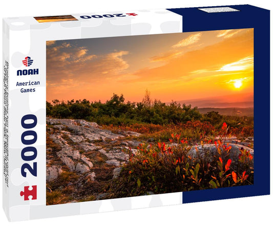 Noah Jigsaw Puzzle Blueberry bushes turn a beautiful vivid red in early autumn as the sun sets at the top of High Point State Park, New Jersey 2000 pieces