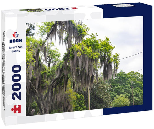 Noah Jigsaw Puzzle Tall southern live oak tree with hanging Spanish moss in Montgomery, Alabama street during spring day, cables nature wires 2000 pieces