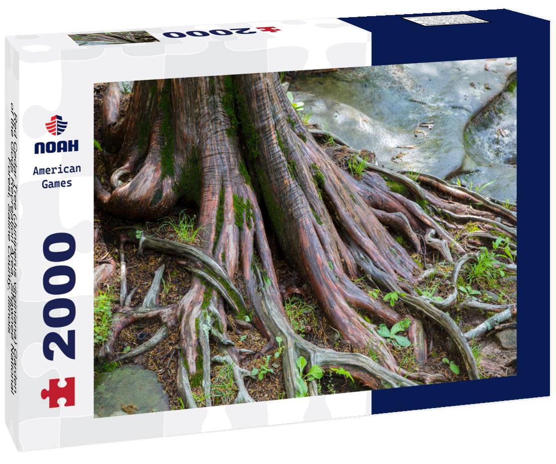 Noah Jigsaw Puzzle Red Cedar Tree (Juniperus virginiana) Garden of the Gods Recreation Area, Shawnee National Forest, Saline County, Illinois 2000 pieces
