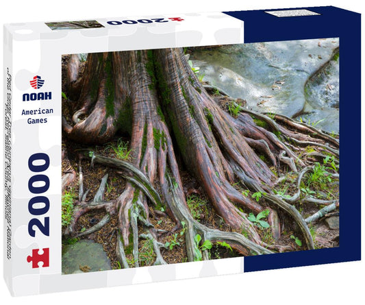 Noah Jigsaw Puzzle Red Cedar Tree (Juniperus virginiana) Garden of the Gods Recreation Area, Shawnee National Forest, Saline County, Illinois 2000 pieces