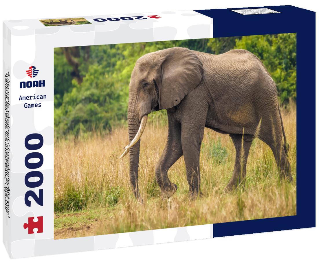Noah Jigsaw Puzzle A big male elephant ( Loxodonta Africana) walking towards the riverbank of the Nile, Murchison Falls National Park, Uganda 2000 pieces