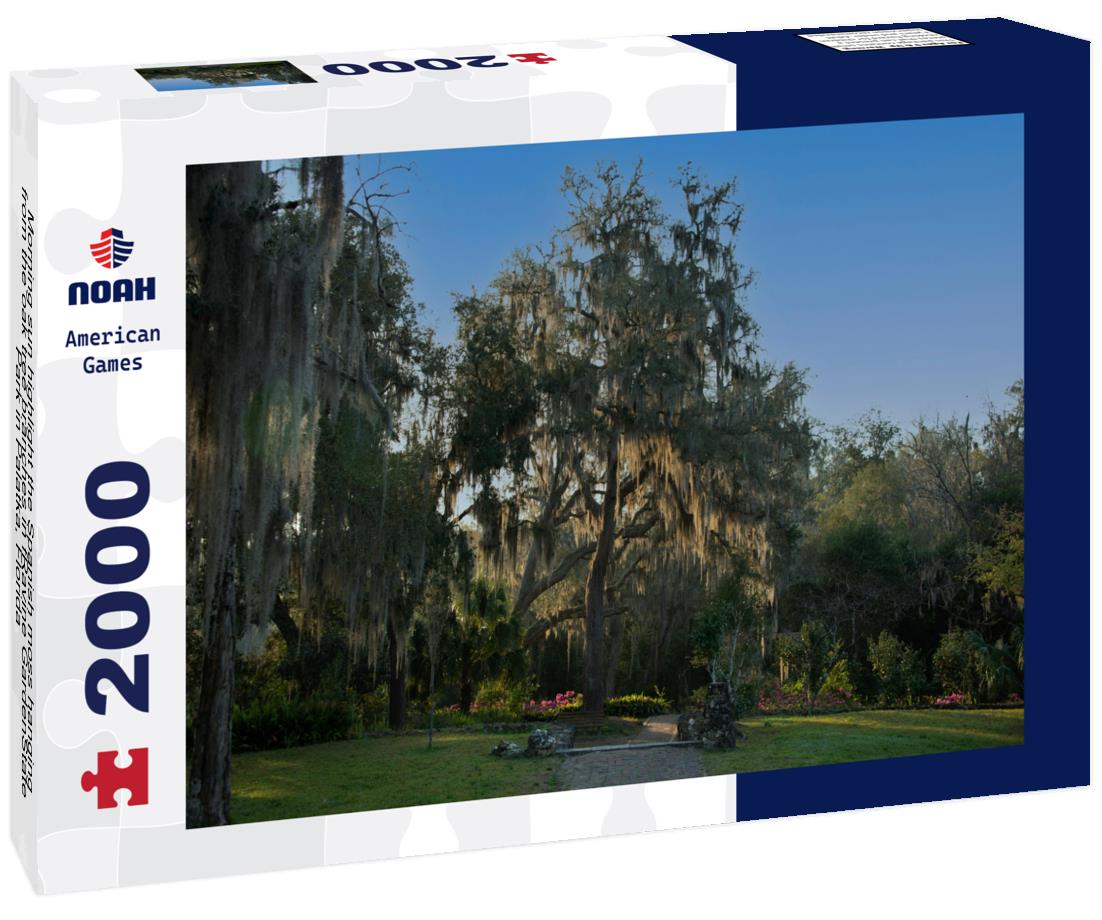Noah Jigsaw Puzzle Morning sun highlight the Spanish moss hanging from the oak tree branches in fRavine GardenState Park in Palatka, Florida 2000 pieces
