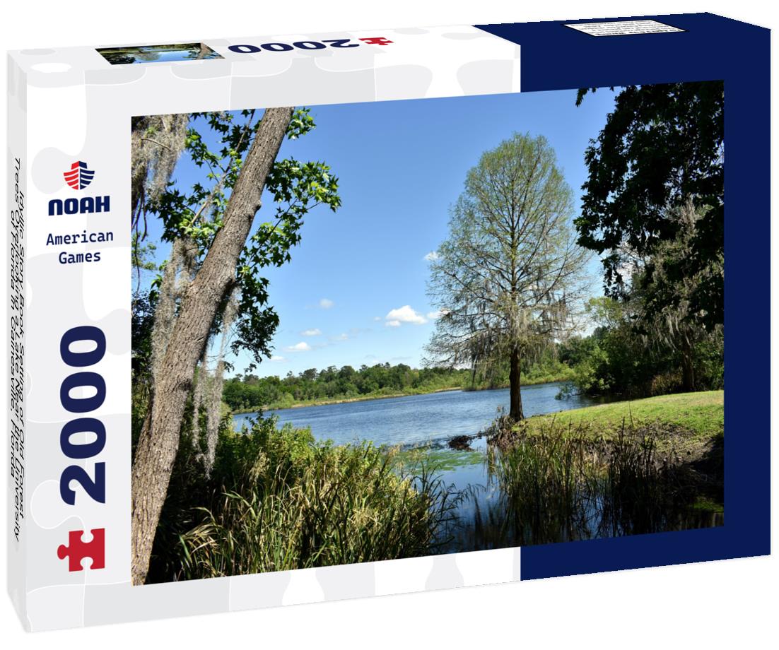 Noah Jigsaw Puzzle Idyllic Story Book Setting of Old Forest Trees Overlooking a Lake Near the University of Florida in Gainesville, Florida 2000 pieces