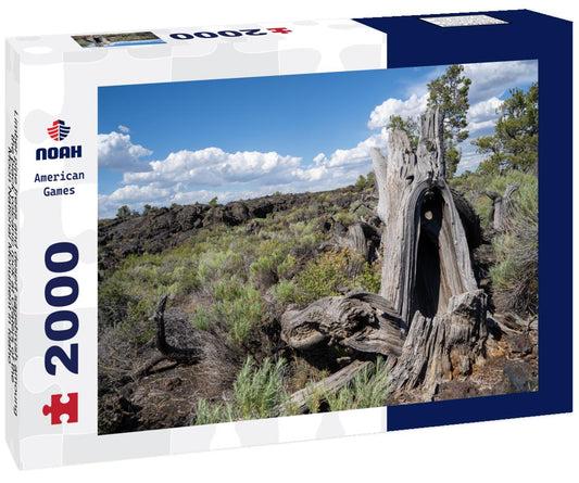 Noah Jigsaw Puzzle Limber pine trees and desert sagebrush amoung the black volcanic rock at Craters of the Moon National Monument in Idaho 2000 pieces