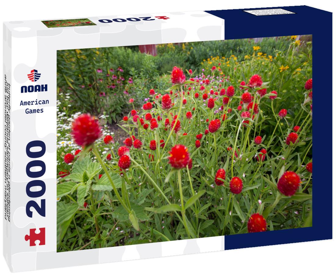 Noah Jigsaw Puzzle butterfly garden at parris n glendening jug bay wetlands sanctuary in lothian anne arundel county southern maryland usa 2000 pieces