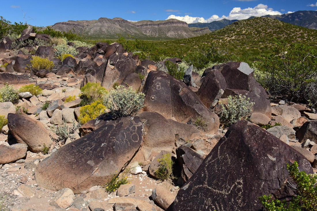 the ancient native american petroglyphs on a sunny fall day at three rivers petroglyph site, near tularosa, new mexico 2000pc Puzzle