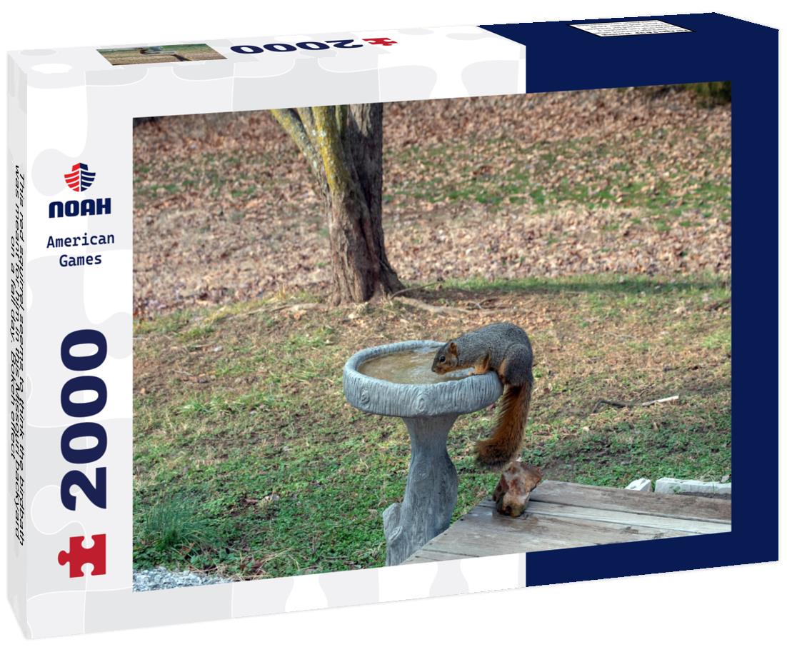 This red squirrel seems to think the birdbath was meant for him in this Missouri backyard on a fall day. Bokeh effect 2000pc Puzzle