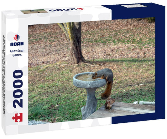 Noah Jigsaw Puzzle This red squirrel seems to think the birdbath was meant for him in this Missouri backyard on a fall day. Bokeh effect 2000 pieces