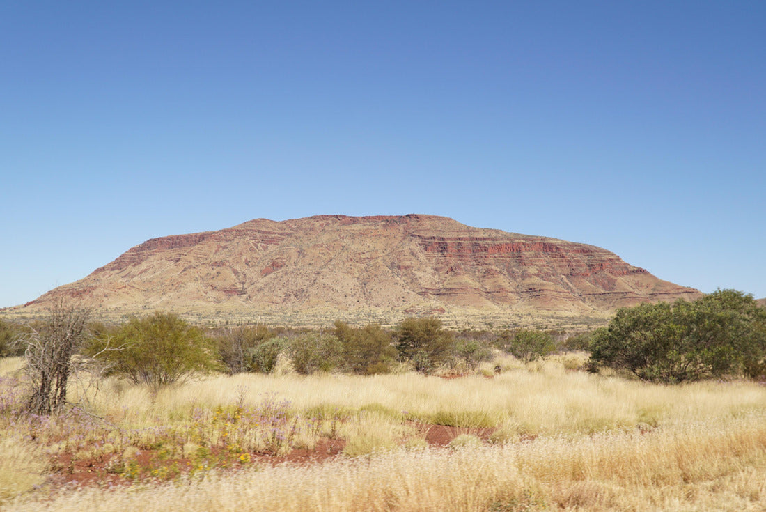 Noah Jigsaw Puzzle Arid dry red rock landscapes at Dales Gorge within Karijini National Park in the Hamersley Range of Western Australia 2000 pieces
