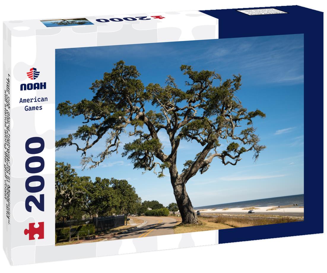 Large oak along highway 90 in Mississippi. This oak with stood Katrina in 2005 and still stands along the gulf coast 2000pc Puzzle