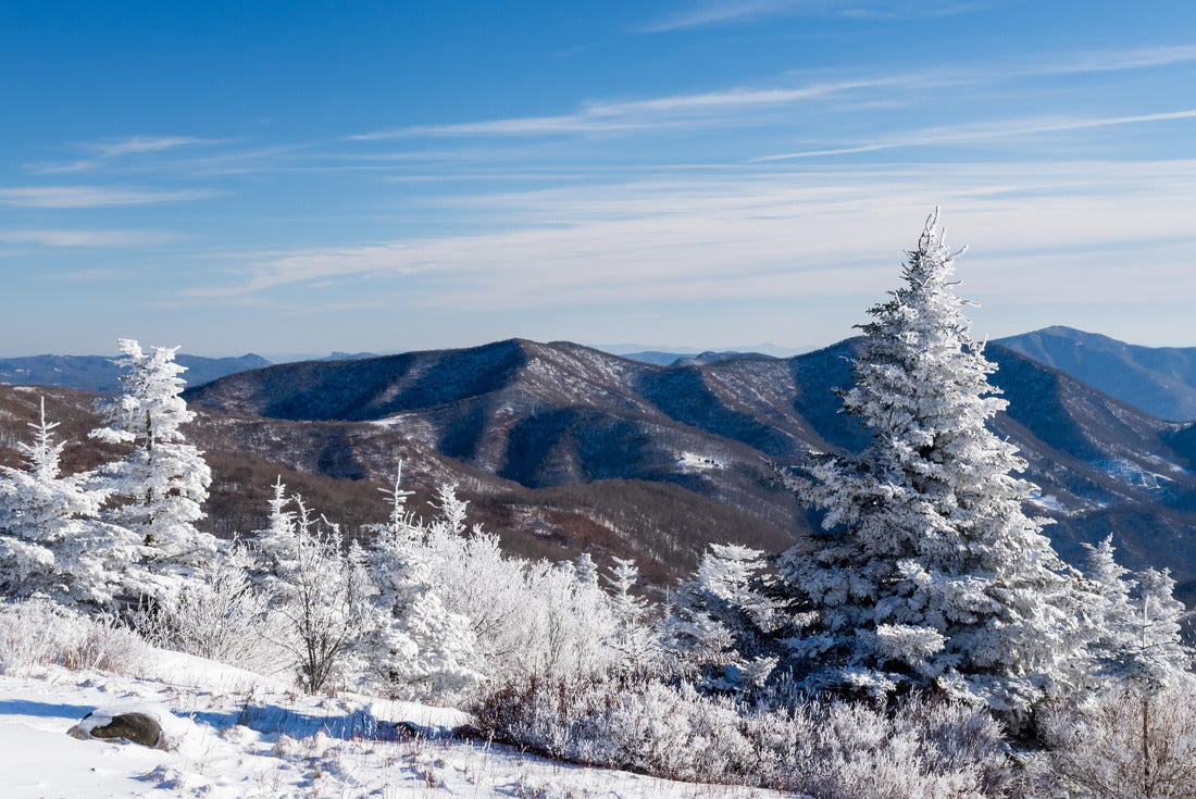 A winter wonderland in the Roan Highlands along the Appalachian Trail on the Border of Tennessee and North Carolina 2000pc Puzzle