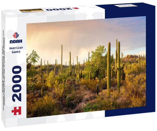 Noah Jigsaw Puzzle Cactus thickets in the rays of the setting sun before the thunderstorm, Saguaro National Park, southeastern Arizona 2000 pieces