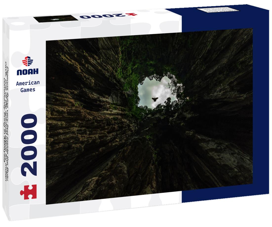 Noah Jigsaw Puzzle Pigeons flying very fast inside the Butu cave, one of the spiritual place for Indian community living in Malaysia 2000 pieces